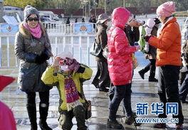 西藏旅游团爆料视频最新,震撼美景与独特民俗的完美邂逅